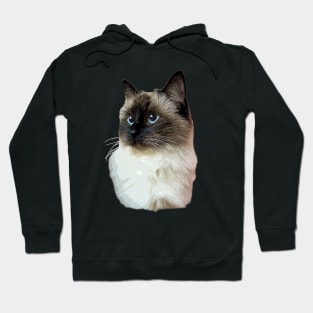 Ragdoll Cat Hoodie